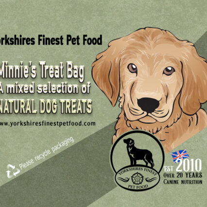 Minnies Treat Bag
