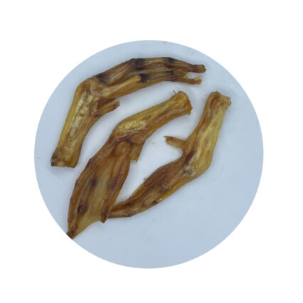 Duck Feet