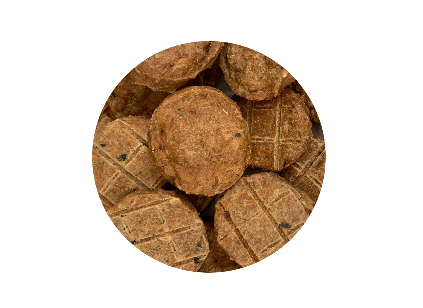 Natural Dog Treats - Salmon Cookies