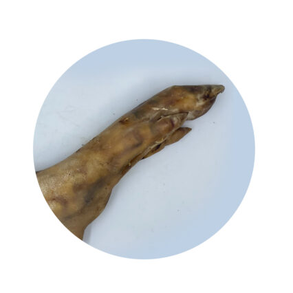 Natural Dog Treats - Pig Trotter
