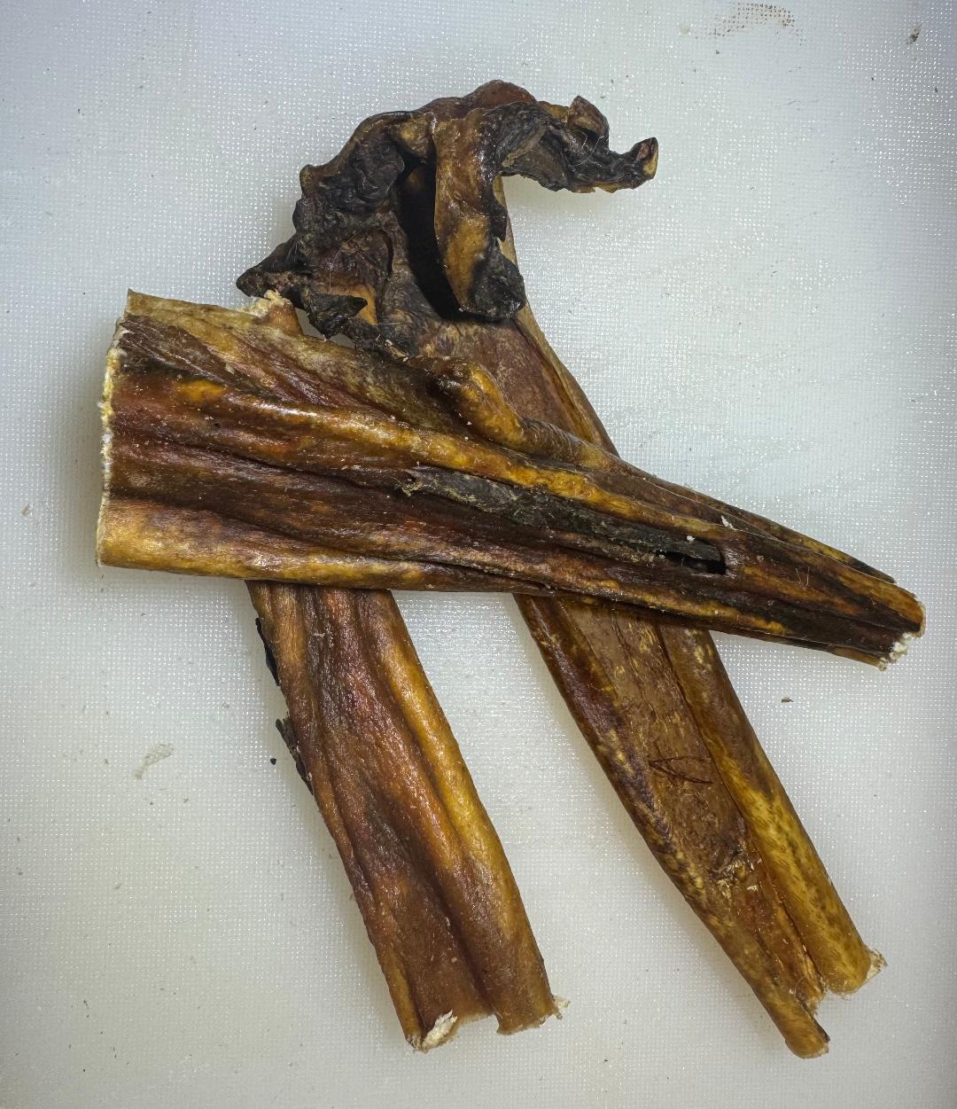Wild Boar