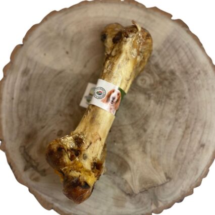 Ostrich Dino Bone - Nova Dog Chews