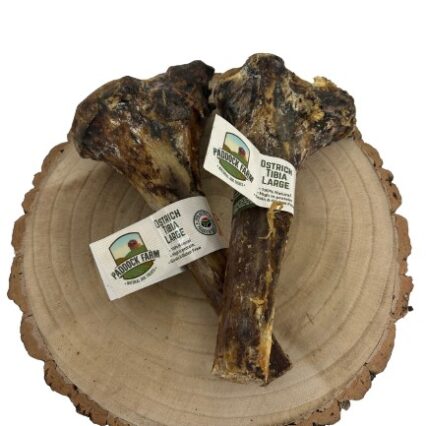 tibia